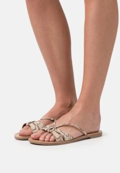 Anna Field CiabattineBrown Donna Ciabatte E Zoccoli AN611A1CH-O11